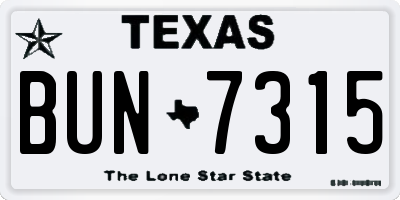 TX license plate BUN7315