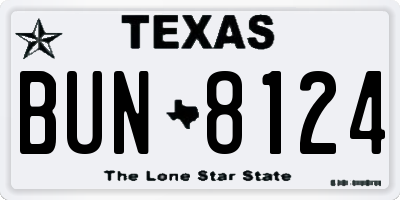 TX license plate BUN8124