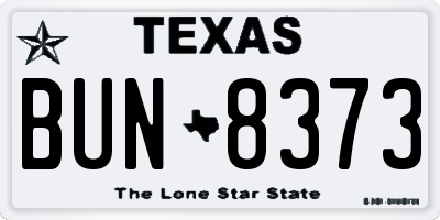 TX license plate BUN8373