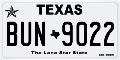 TX license plate BUN9022