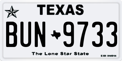 TX license plate BUN9733