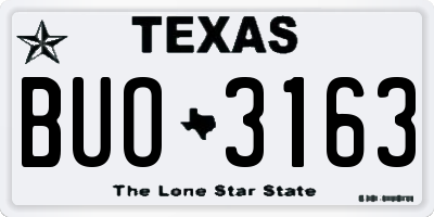 TX license plate BUO3163