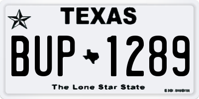 TX license plate BUP1289