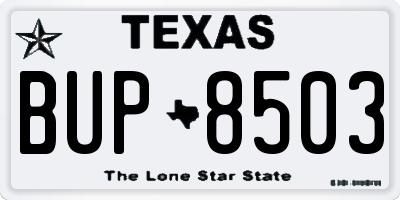 TX license plate BUP8503