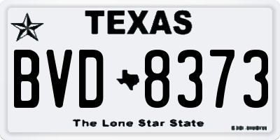 TX license plate BVD8373