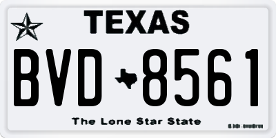 TX license plate BVD8561