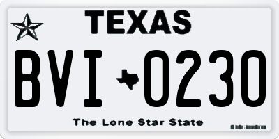 TX license plate BVI0230