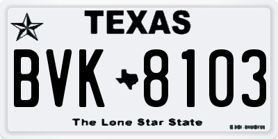 TX license plate BVK8103