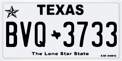 TX license plate BVQ3733
