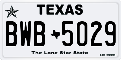 TX license plate BWB5029