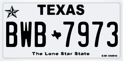 TX license plate BWB7973