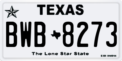 TX license plate BWB8273