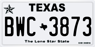 TX license plate BWC3873