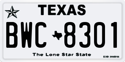TX license plate BWC8301