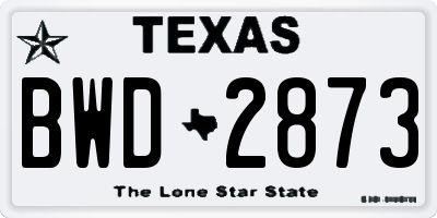 TX license plate BWD2873