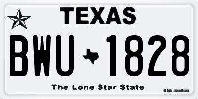 TX license plate BWU1828