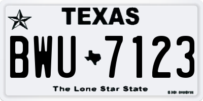 TX license plate BWU7123