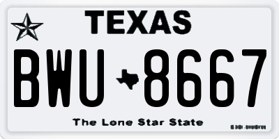 TX license plate BWU8667