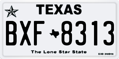 TX license plate BXF8313