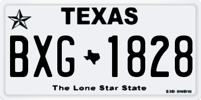TX license plate BXG1828