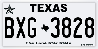 TX license plate BXG3828