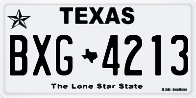 TX license plate BXG4213