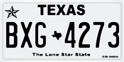 TX license plate BXG4273