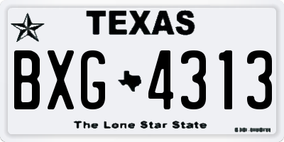TX license plate BXG4313