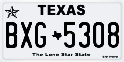 TX license plate BXG5308