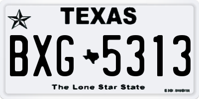 TX license plate BXG5313