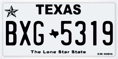 TX license plate BXG5319