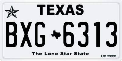 TX license plate BXG6313