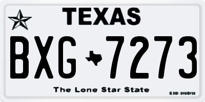 TX license plate BXG7273