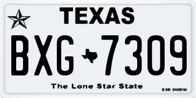 TX license plate BXG7309