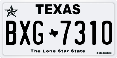 TX license plate BXG7310