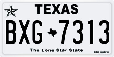 TX license plate BXG7313