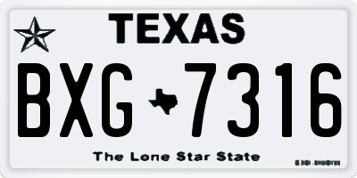 TX license plate BXG7316
