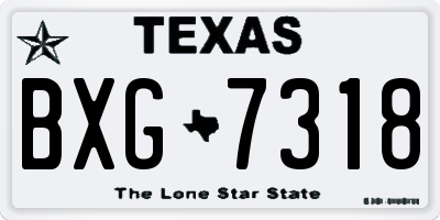 TX license plate BXG7318