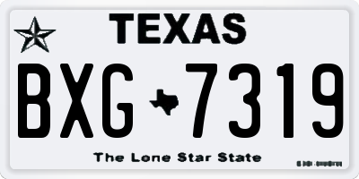 TX license plate BXG7319