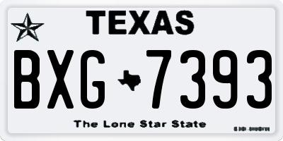 TX license plate BXG7393