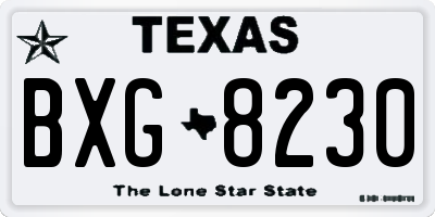 TX license plate BXG8230