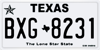 TX license plate BXG8231