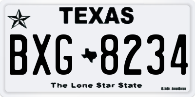TX license plate BXG8234