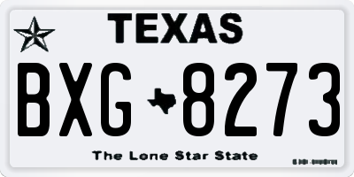 TX license plate BXG8273