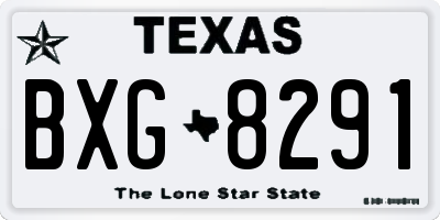 TX license plate BXG8291