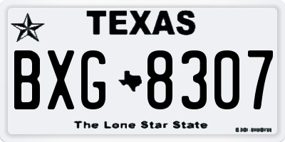 TX license plate BXG8307
