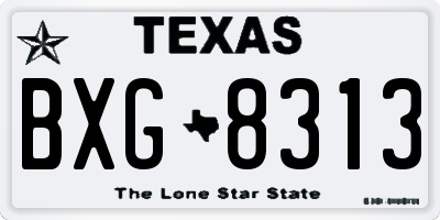TX license plate BXG8313