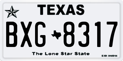 TX license plate BXG8317