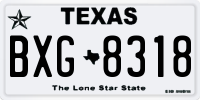 TX license plate BXG8318