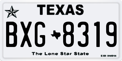 TX license plate BXG8319